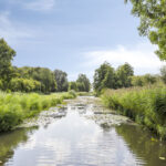 Brantjesstraat221447pePurmerend-32