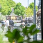 B100473-12520-Koemarkt-8,-Purmerend-238372984