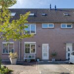 PD105383-5269-Pinksterbloem-48,-Purmerend-200997081