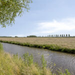 PD105476-23676-Meerkoetstraat-24,-Oosthuizen-280885973