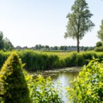 PD105535-8361-Molenwerf-9,-Edam-236770090
