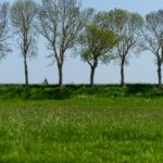 PD105578-10429-Purmerenderweg-34,-Zuidoostbeemster-229063732