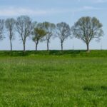 PD105578-10429-Purmerenderweg-34,-Zuidoostbeemster-229063746