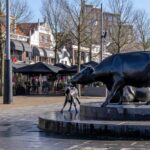 PD105605-7968-Koemarkt-83,-Purmerend-216865621