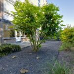 PD105610-10755-Johanna-Naberstraat-190,-Purmerend-231198008