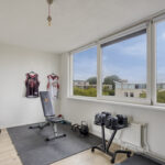 PD105672-25018-Rosa-Luxemburgpark-137,-Purmerend-285455819