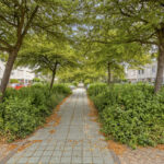 PD105672-25018-Rosa-Luxemburgpark-137,-Purmerend-285455855