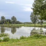 PD105672-25018-Rosa-Luxemburgpark-137,-Purmerend-285455863
