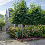 PD105735-13631-Dorpsstraat-126,-Wormer-242911064