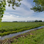 PD105887-15077-Het-Lien-2,-Oosthuizen-247149996