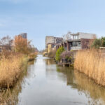 PD105896-16991-Waaierpalmstraat-3,-Purmerend-256071752