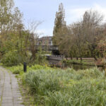 PD105917-15771-Klaproos-20,-Purmerend-251652400