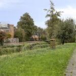 PD105917-15771-Klaproos-20,-Purmerend-251652404