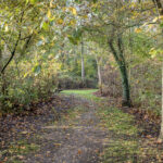 PD105957-16531-De-Noord-27,-Ilpendam-253839772