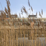 PD106014-17576-Bali-35,-Purmerend-260613428