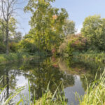 PD106027-20411-Boterbloem-22,-Purmerend-258733232