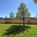 PD106062-23003-Johan-Wagenaarstraat-42,-Purmerend-276805884