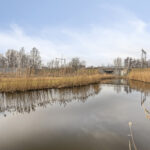 PD106067-18408-Bali-35,-Purmerend-265389584