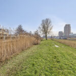 PD106067-18408-Bali-35,-Purmerend-265389792