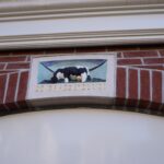 PD106085-19904-Koemarkt-36C,-Purmerend-270492212