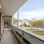 PD106088-20112-Rosa-Luxemburgpark-39,-Purmerend-271287624