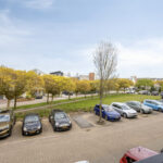 PD106088-20112-Rosa-Luxemburgpark-39,-Purmerend-271287630