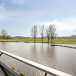 PD106088-20112-Rosa-Luxemburgpark-39,-Purmerend-271287784
