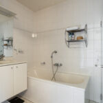 PD106088-20112-Rosa-Luxemburgpark-39,-Purmerend-271287798