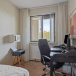 PD106088-20112-Rosa-Luxemburgpark-39,-Purmerend-271287836