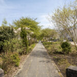 PD106088-20112-Rosa-Luxemburgpark-39,-Purmerend-271287848