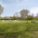 PD106088-20112-Rosa-Luxemburgpark-39,-Purmerend-271287862