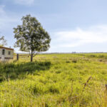PD106126-24540-Jisperweg-36,-Westbeemster-286692441