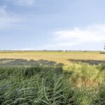 PD106126-24540-Jisperweg-36,-Westbeemster-286692555