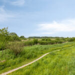 PD106131-23268-Mississippistraat-30,-Purmerend-277505864