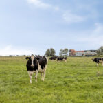 PD106299-23758-Burgemeester-Steertstraat-16,-Oosthuizen-280961973
