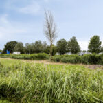 PD106299-23758-Burgemeester-Steertstraat-16,-Oosthuizen-280961985