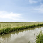 PD106309-23814-Westerhem-111,-Middenbeemster-281513079