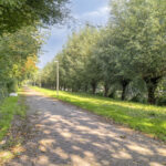 PD106325-27445-Gebr.-Conijnstraat-36,-Purmerend-296195061