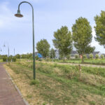 PD106333-24488-Het-Lien-3,-Oosthuizen-286321887