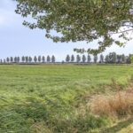 PD106333-24488-Het-Lien-3,-Oosthuizen-286322123