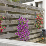 PD106348-25164-Herengracht-13,-Purmerend-286204825